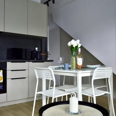 Barkowska 21 - Nowoczesny Blisko Gor Z Parkingiem By Reapartments *