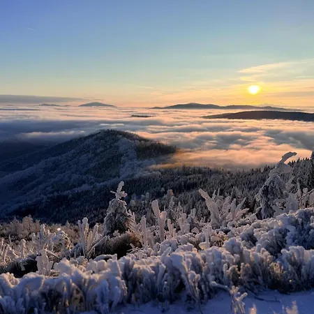 Barkowska 21 - Nowoczesny Blisko Gor Z Parkingiem By Reapartments