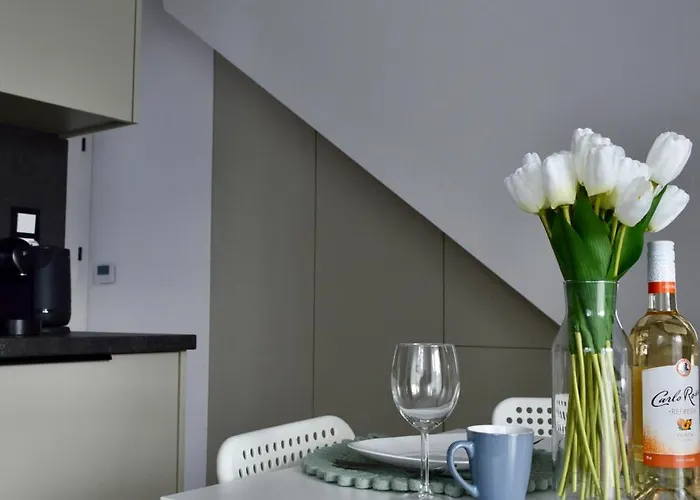 Апартаменты Barkowska 21 - Nowoczesny Blisko Gor Z Parkingiem By Reapartments Бельско-Бяла