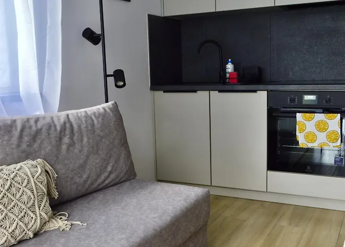 Barkowska 21 - Nowoczesny Blisko Gor Z Parkingiem By Reapartments דירה