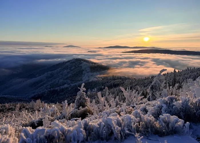 Barkowska 21 - Nowoczesny Blisko Gor Z Parkingiem By Reapartments