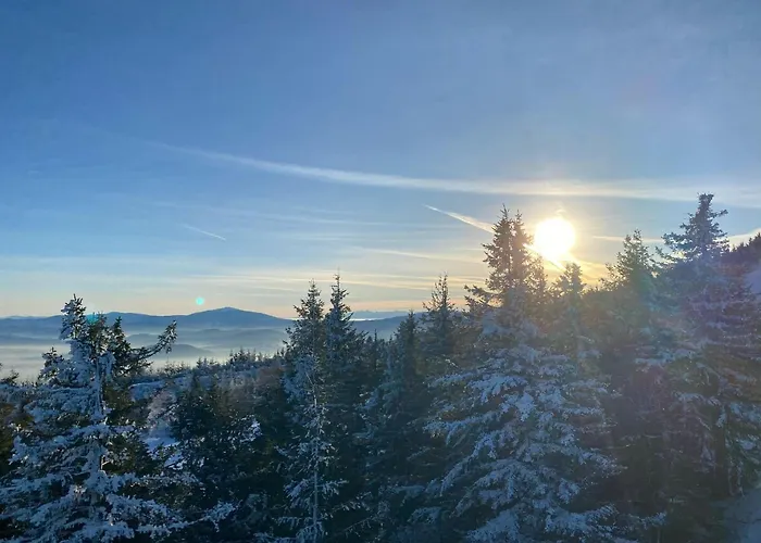 Barkowska 21 - Nowoczesny Blisko Gor Z Parkingiem By Reapartments דירה *